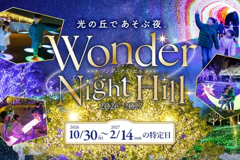 ハーベストの丘 イルミネーション「Wonder Night Hill」の公式チラシ（Farm corporation（ハーベストの丘））