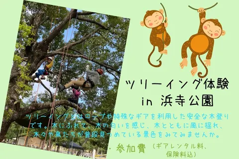 浜寺公園【木登り】ツリーイングイベントの公式チラシ（浜寺公園管理事務所）