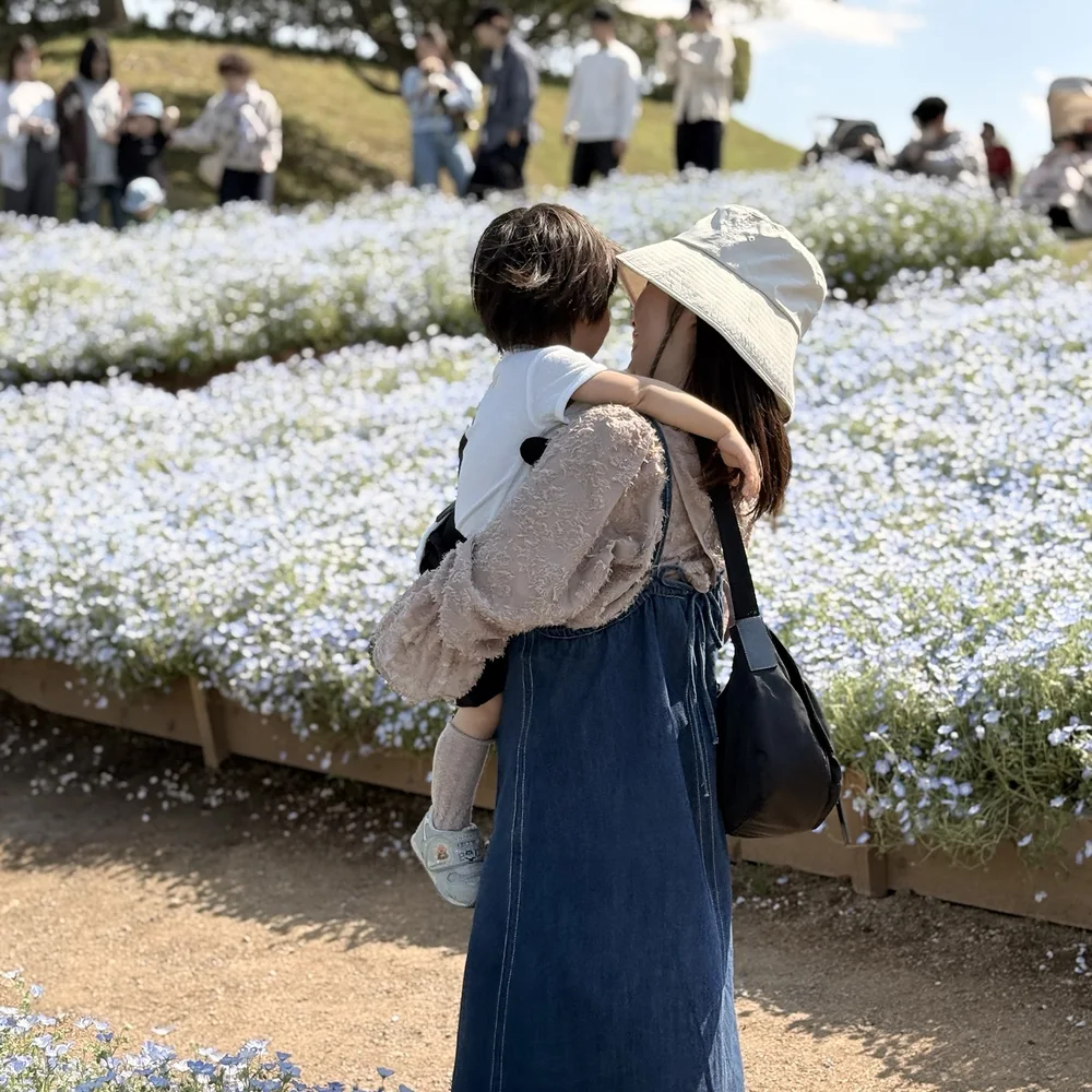 春のネモフィラ畑(堺市・ハーベストの丘)